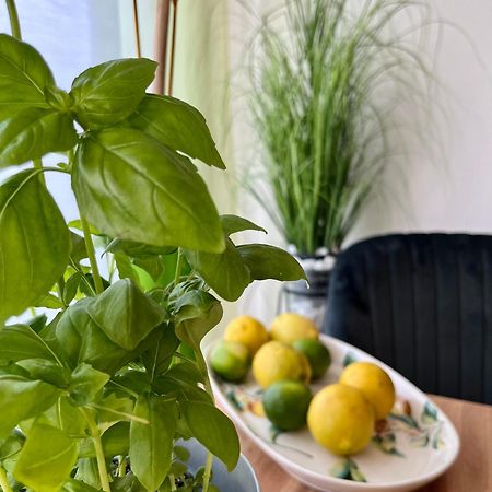 Luxurious City Apartment Incl Garage And Terrace فيينا المظهر الخارجي الصورة